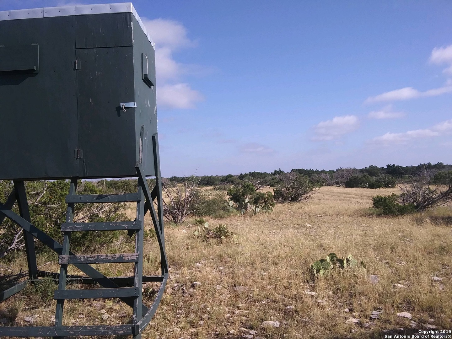 1052 Steep Road Del Rio, TX 78840 - Photo 10 of 25 a view of a lake in middle of the forest