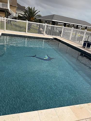 235 Tuna Run Freeport, TX 77541 - Photo 12 of 31