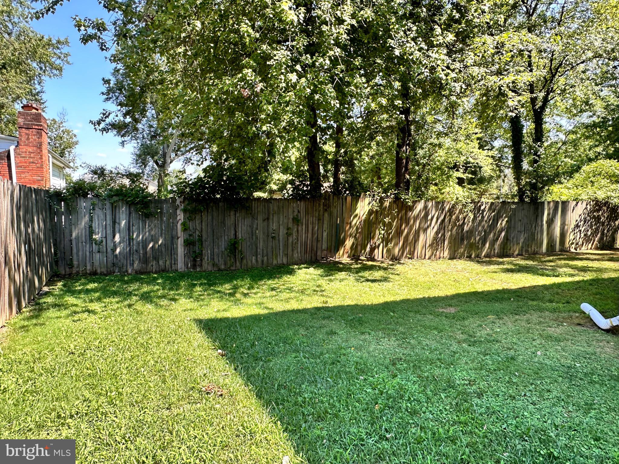 8103 Fordson Road Alexandria, VA 22306 - Photo 36 of 39 Backyard