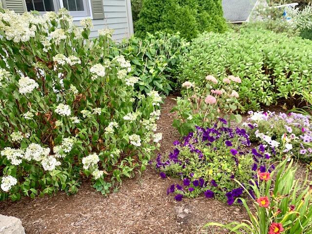 16 Tiffany Road Monument Beach, MA 02532 - Photo 3 of 42 a picture of flowers
