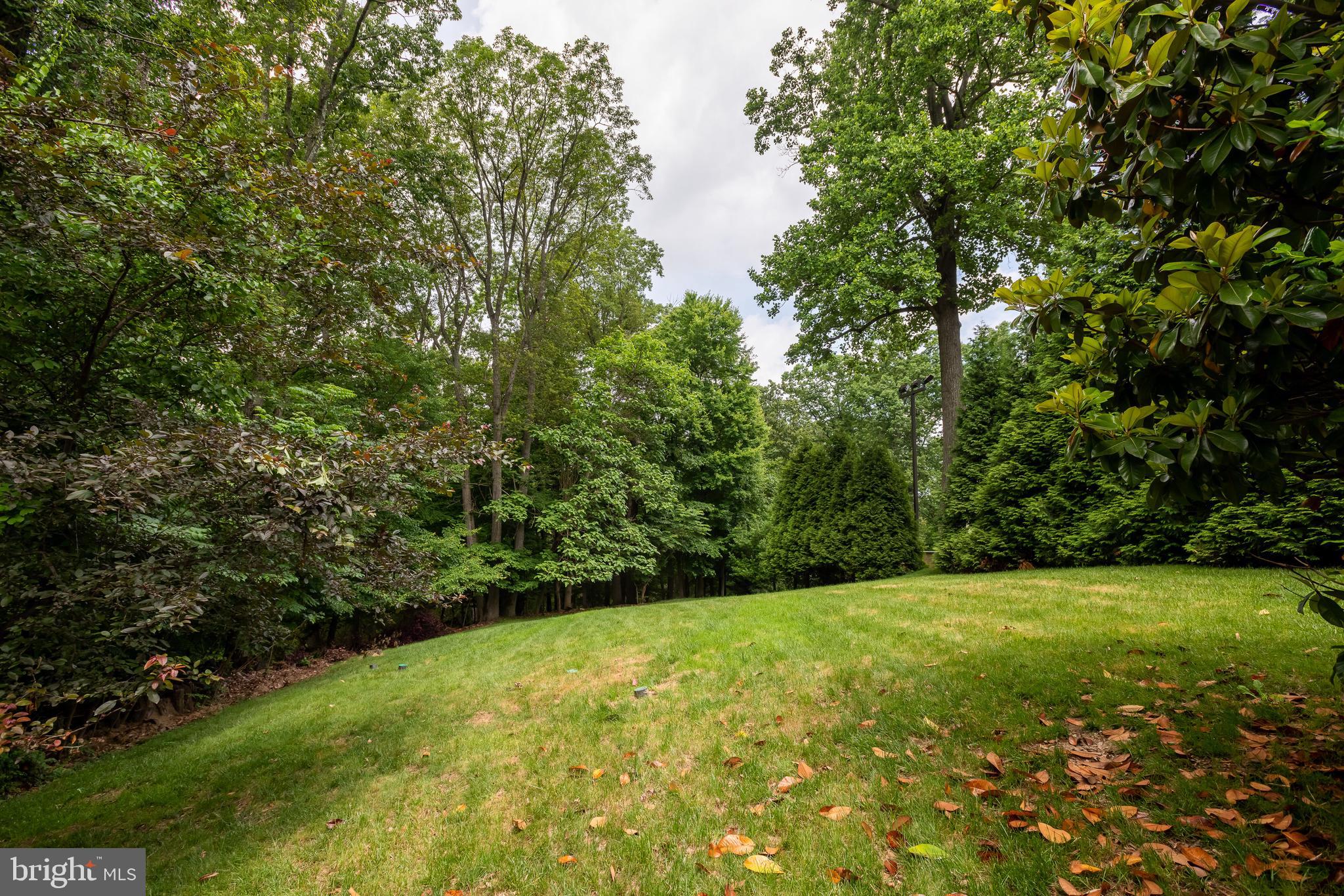 454 Upper Gulph Road Wayne, PA 19087 - Photo 42 of 52 Private backyard