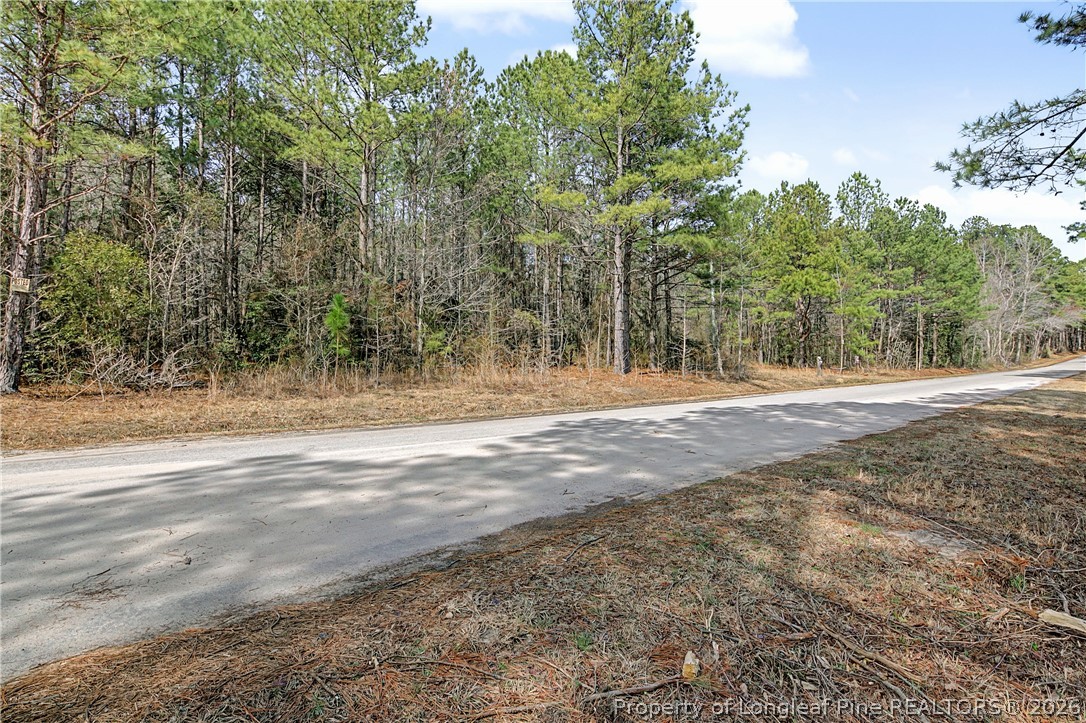 632 Creeksville Church Road Spring Lake, NC 28390 - Photo 2 of 7