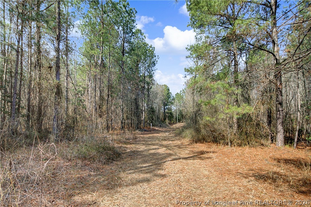 632 Creeksville Church Road Spring Lake, NC 28390 - Photo 3 of 7