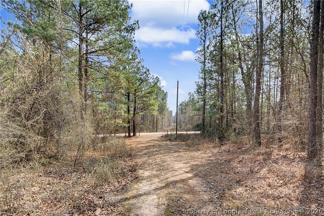 632 Creeksville Church Road Spring Lake, NC 28390 - Photo 4 of 7