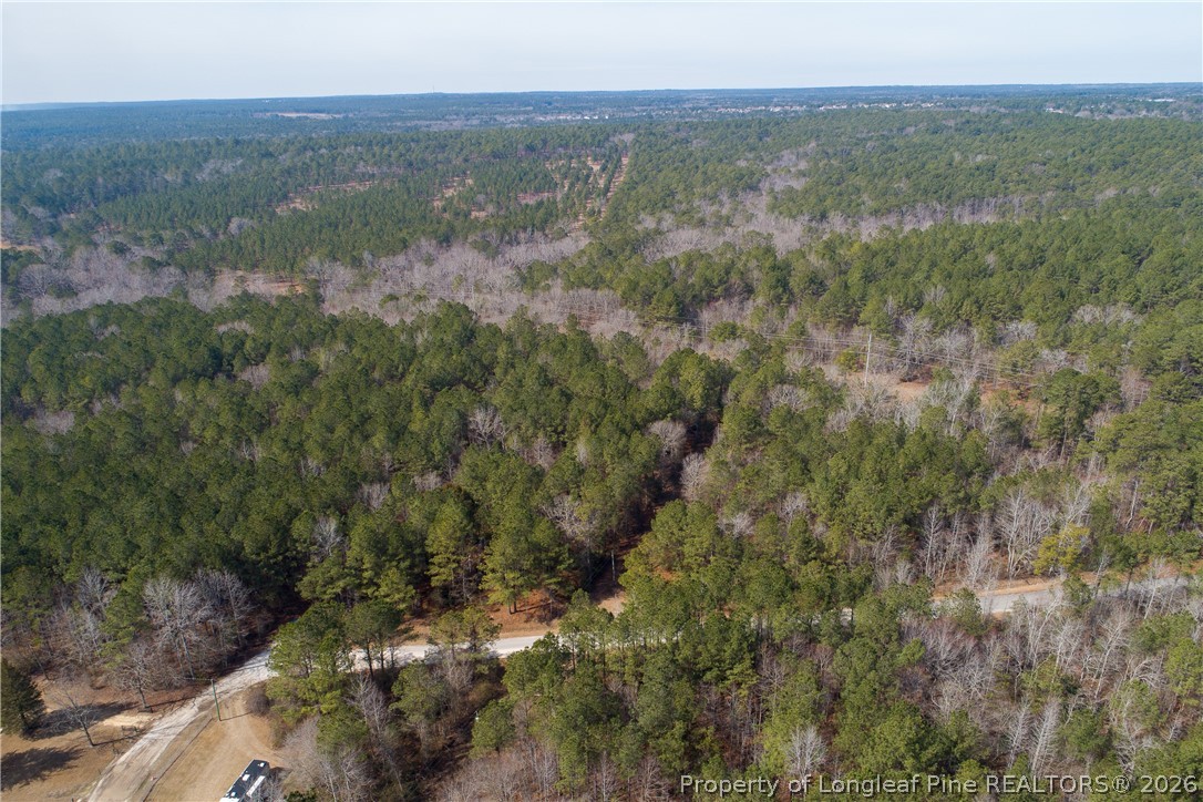 632 Creeksville Church Road Spring Lake, NC 28390 - Photo 7 of 7