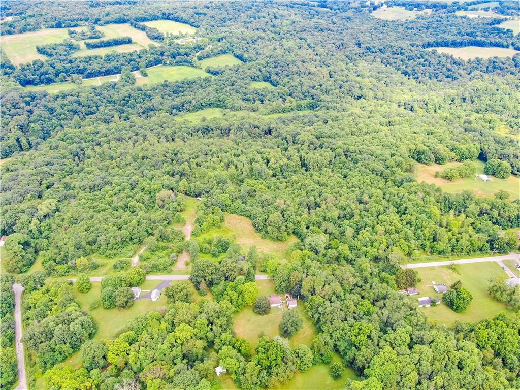Lot # 6 Hillsville Road Edinburg, PA 16116 - Photo 4 of 11 a view of a garden with an empty room