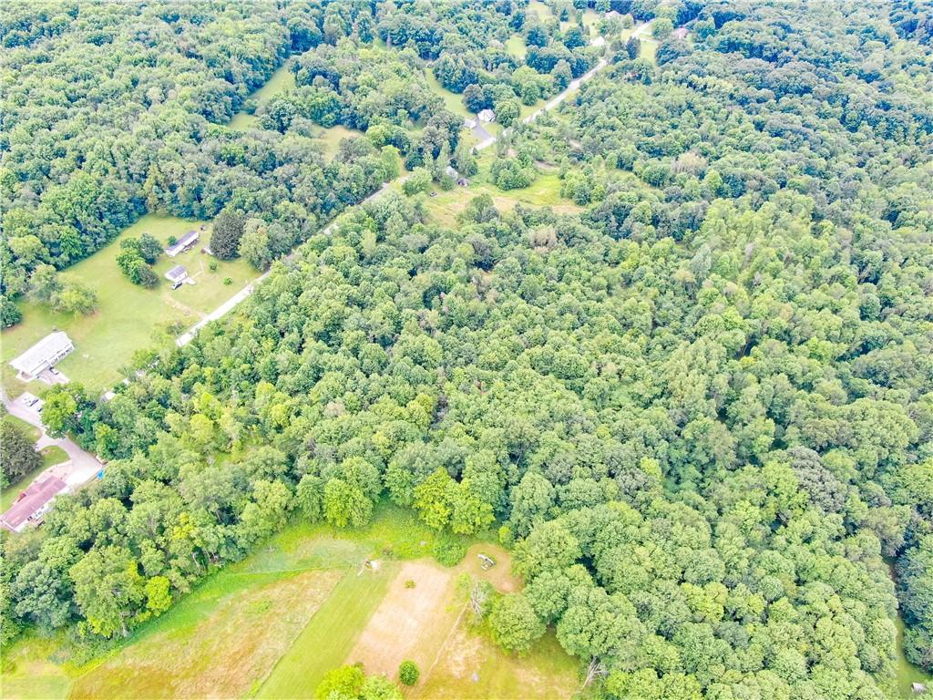 Lot # 6 Hillsville Road Edinburg, PA 16116 - Photo 8 of 11 a view of a yard with a tree