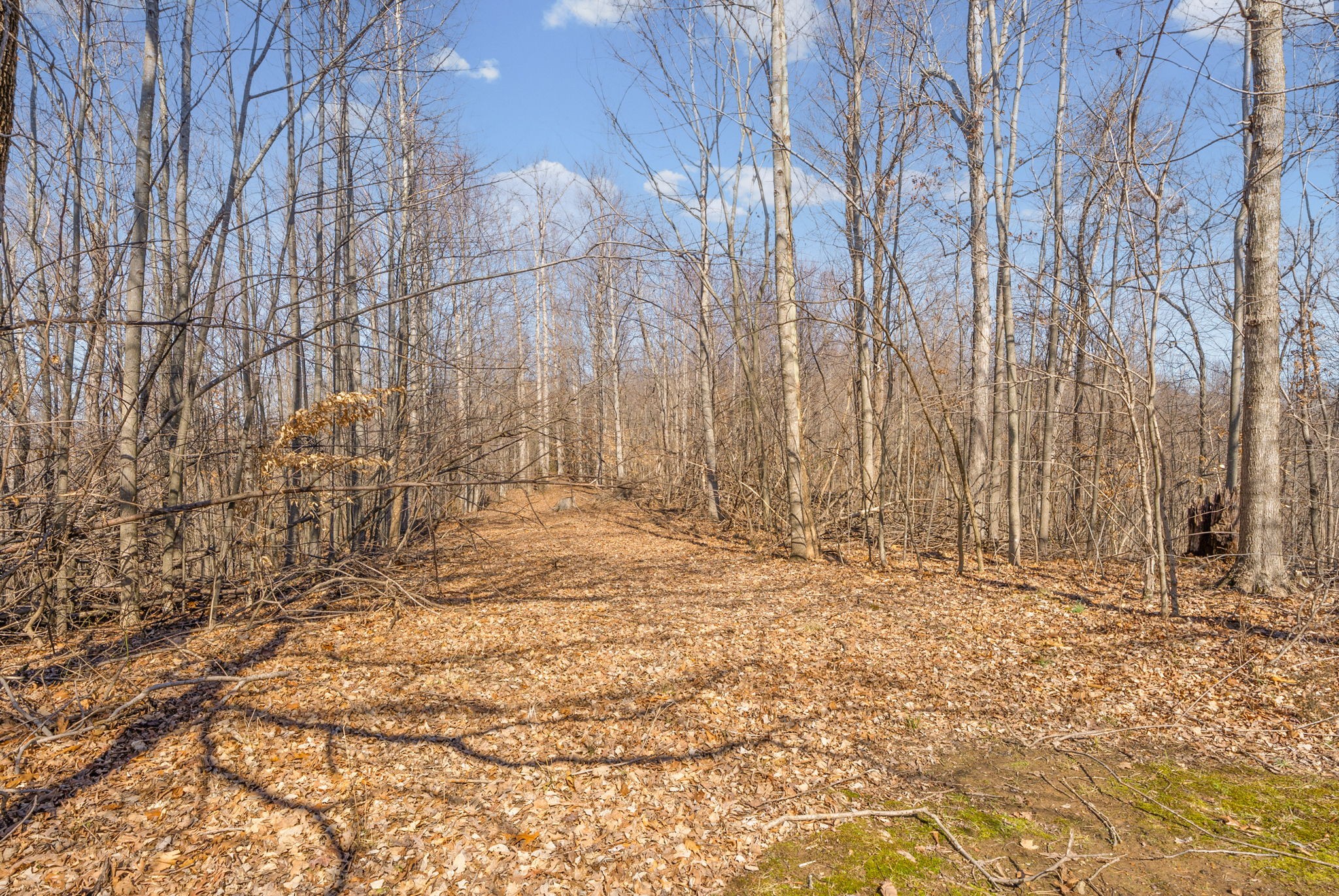 17033 Dawson Road Dawson Springs, KY 42408 - Photo 37 of 41