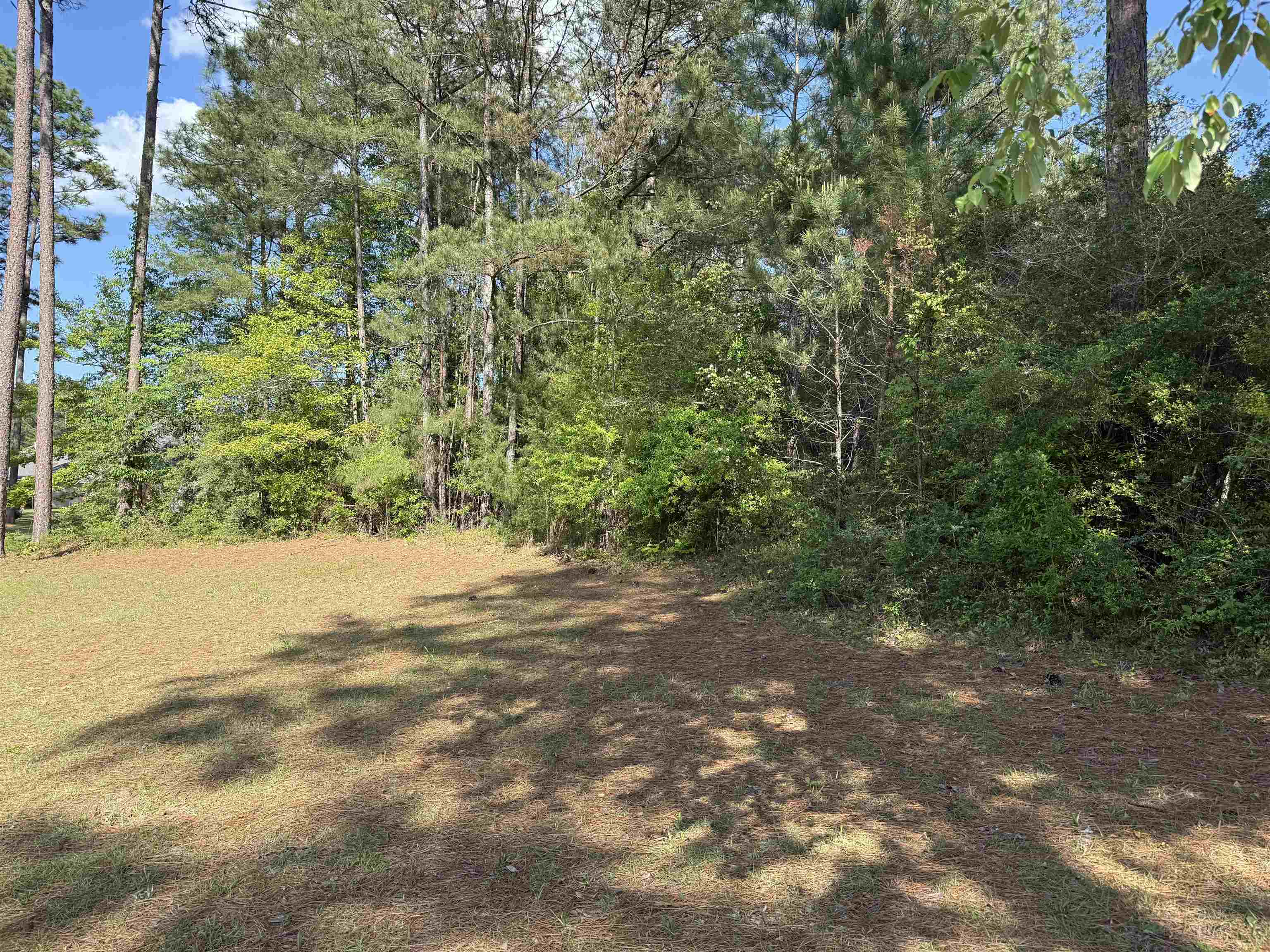 0 Juniper Creek Road Brewton, AL 36426 - Photo 2 of 5