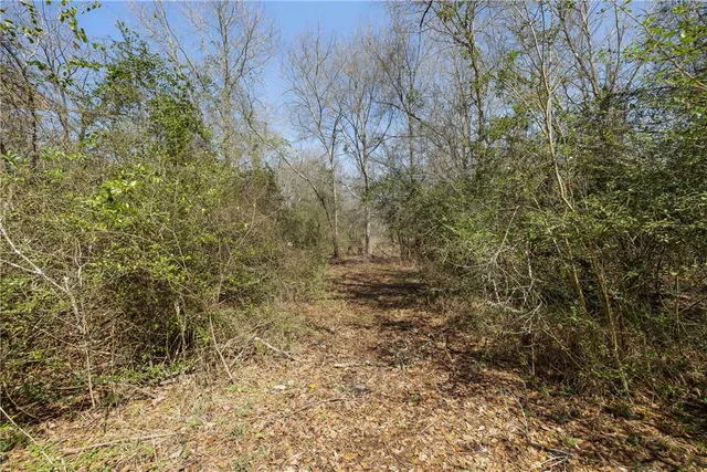 a view of a yard covered with snow