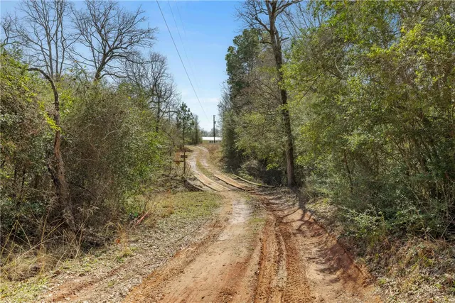 a backyard of a house with yard and trampoline