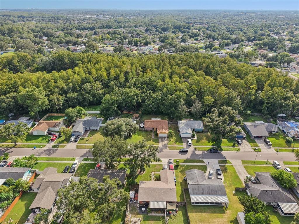 14128 Arbor Hills Road Tampa, FL 33625 - Photo 28 of 35