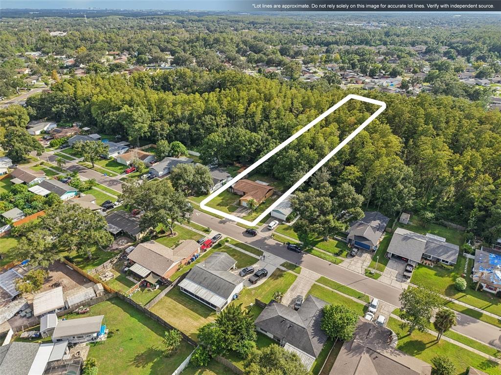 14128 Arbor Hills Road Tampa, FL 33625 - Photo 30 of 35