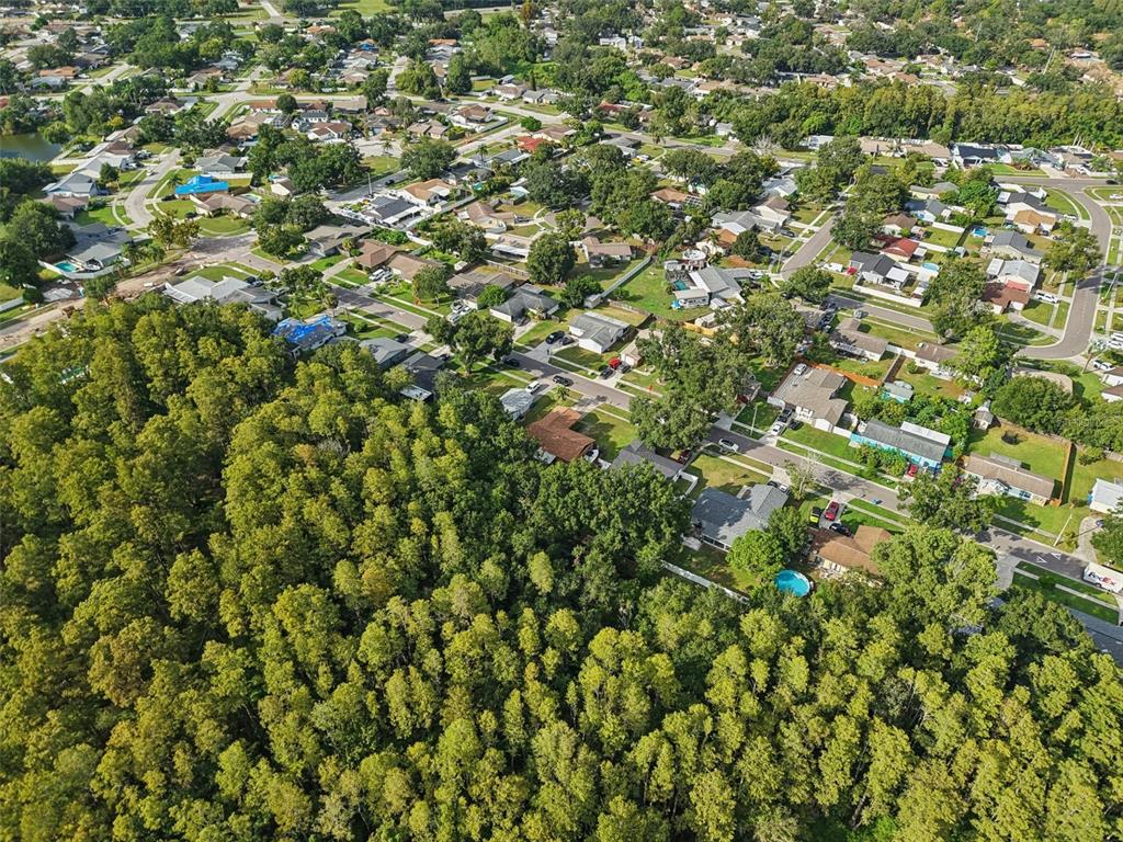 14128 Arbor Hills Road Tampa, FL 33625 - Photo 32 of 35