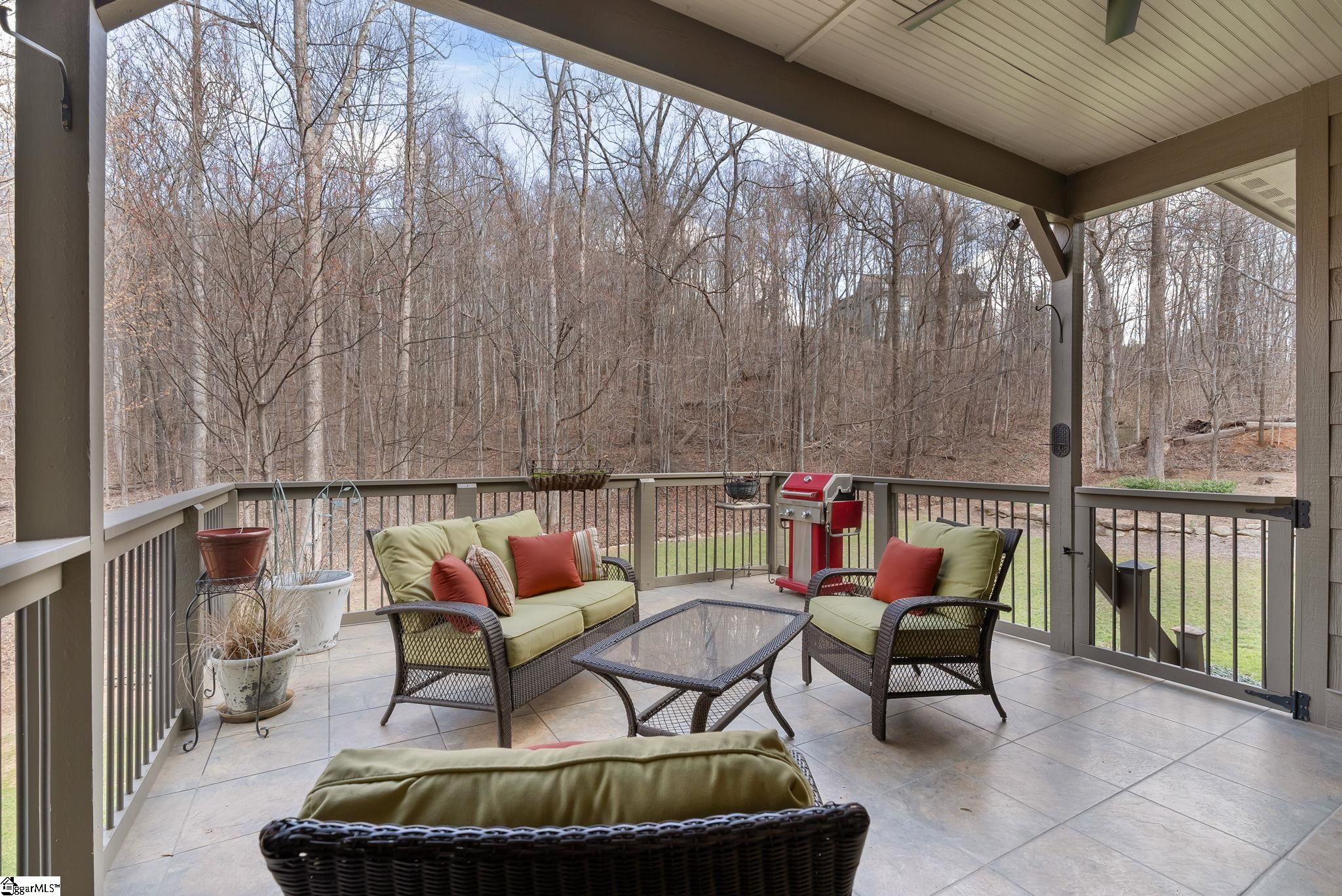 6 Goldeneye Court Landrum, SC 29356 - Photo 25 of 33