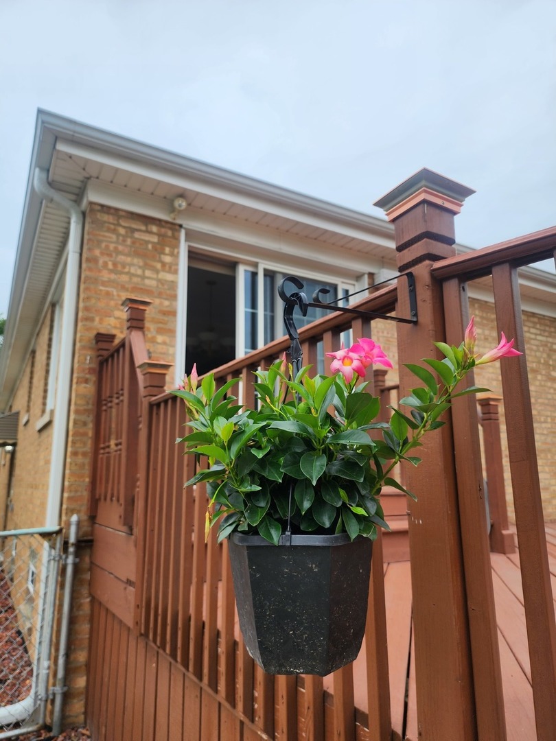 4031 Custer Avenue Lyons, IL 60534 - Photo 31 of 38 a vase of flowers sitting on a floor in front of a house