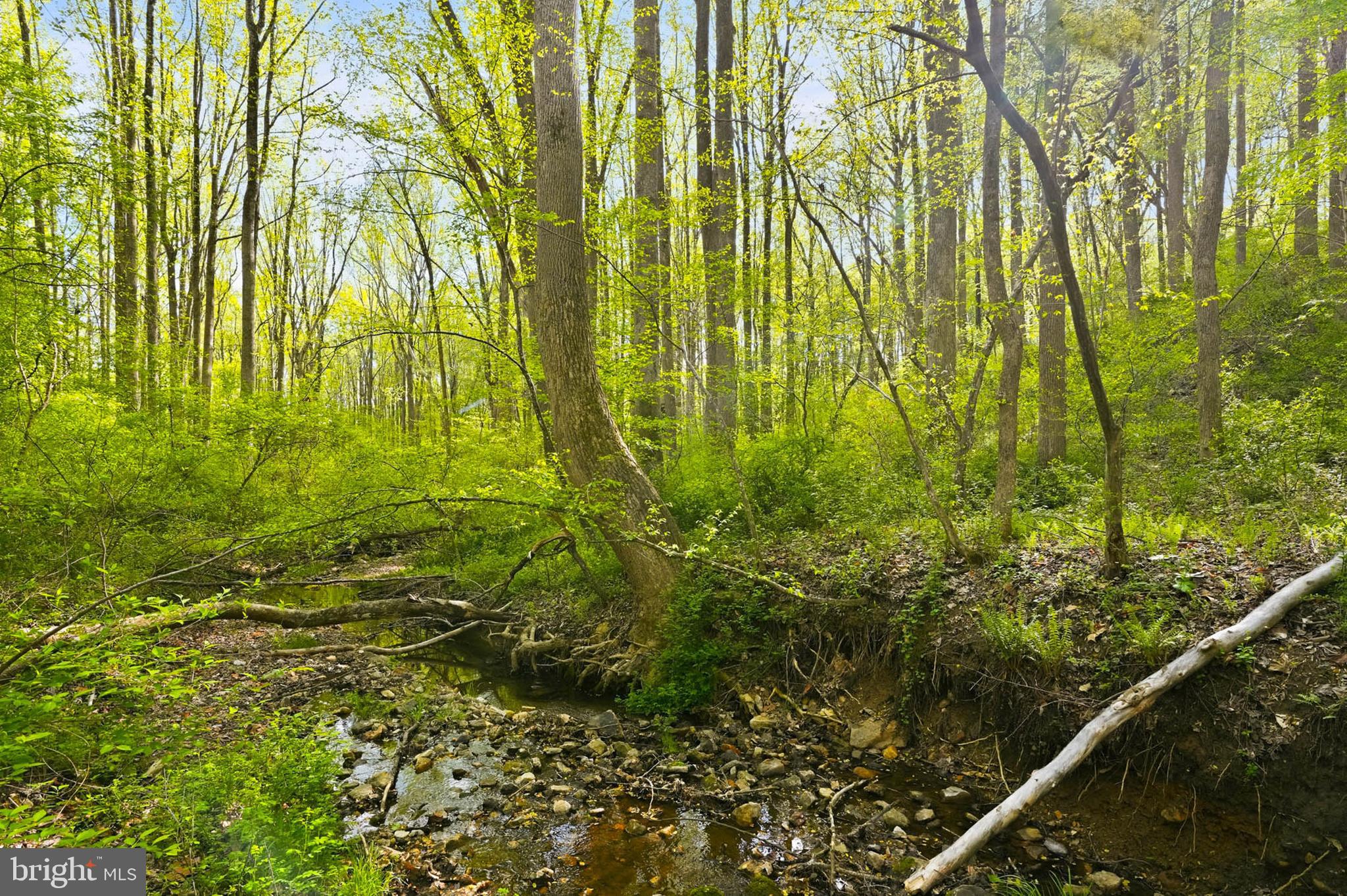 7049 Mink Hollow Road Highland, MD 20777 - Photo 20 of 72