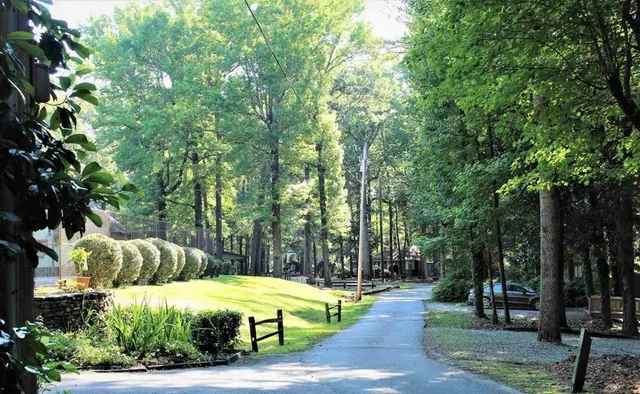 a view of a house with large trees and a yard