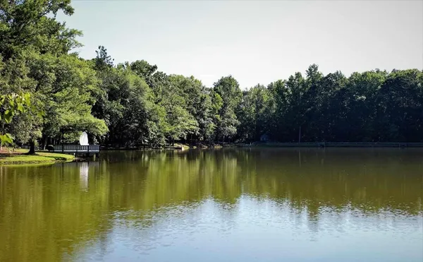 a view of a lake with houses in the background