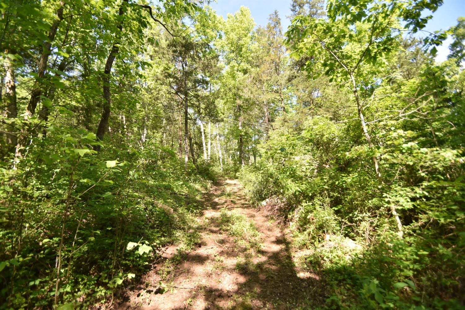 3 Bark Road Waco, KY 40385 - Photo 20 of 31 Photo 20