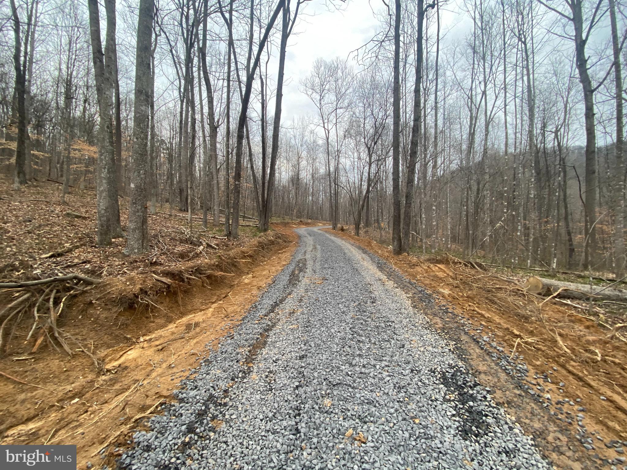 Castleton Ford Road Castleton, VA 22716 - Photo 4 of 13
