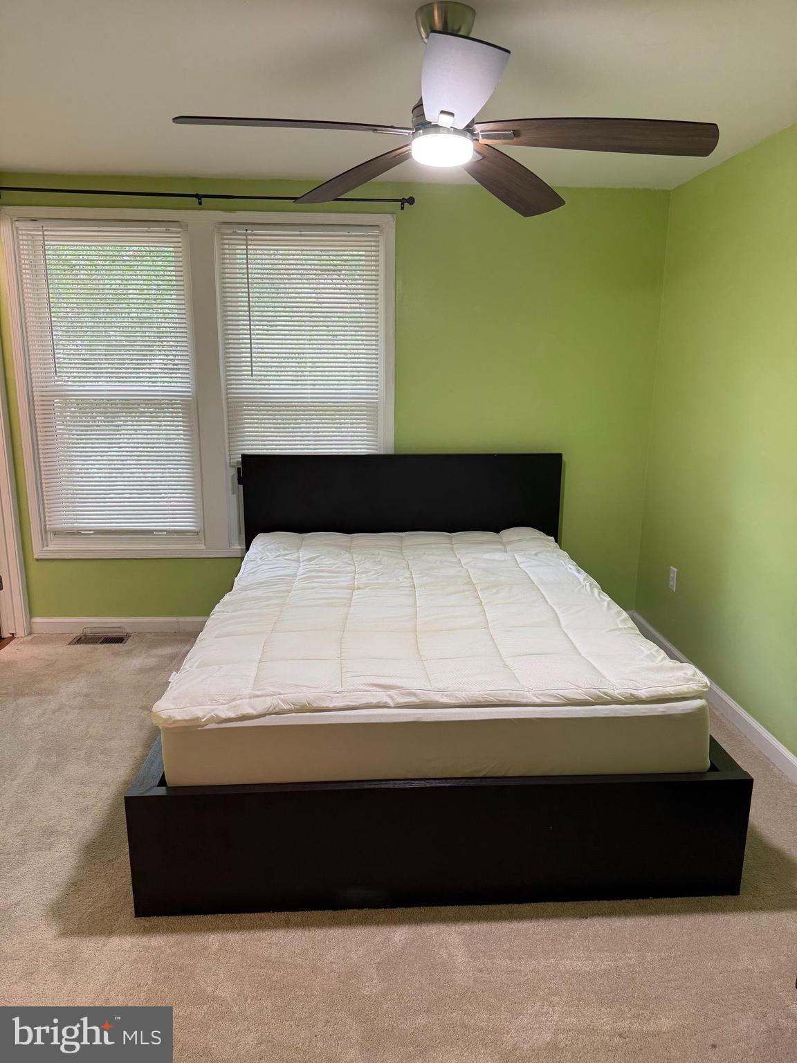 9461 Inaugural Drive King George, VA 22485 - Photo 10 of 20 Primary bedroom