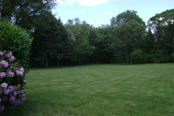 8 Todd Road Lexington, MA 02420 - Photo 3 of 5