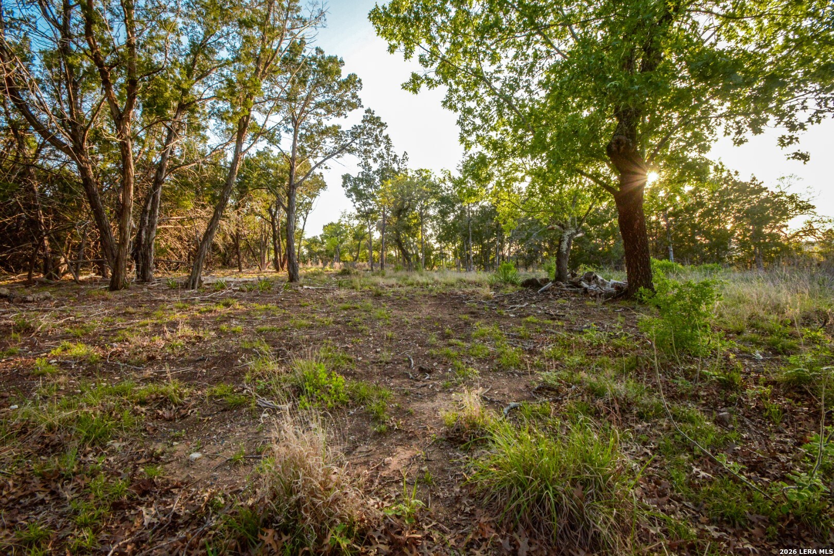 827 Thanksgiving Road Utopia, TX 78884 - Photo 2 of 10