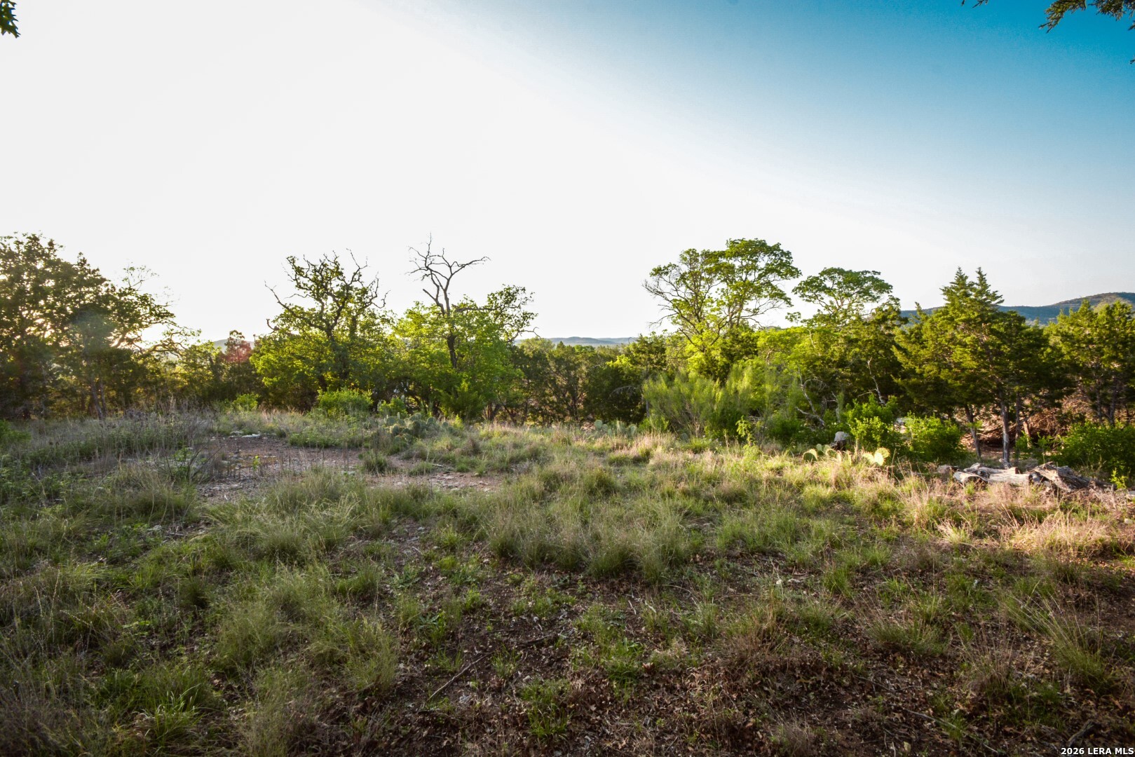 827 Thanksgiving Road Utopia, TX 78884 - Photo 3 of 10