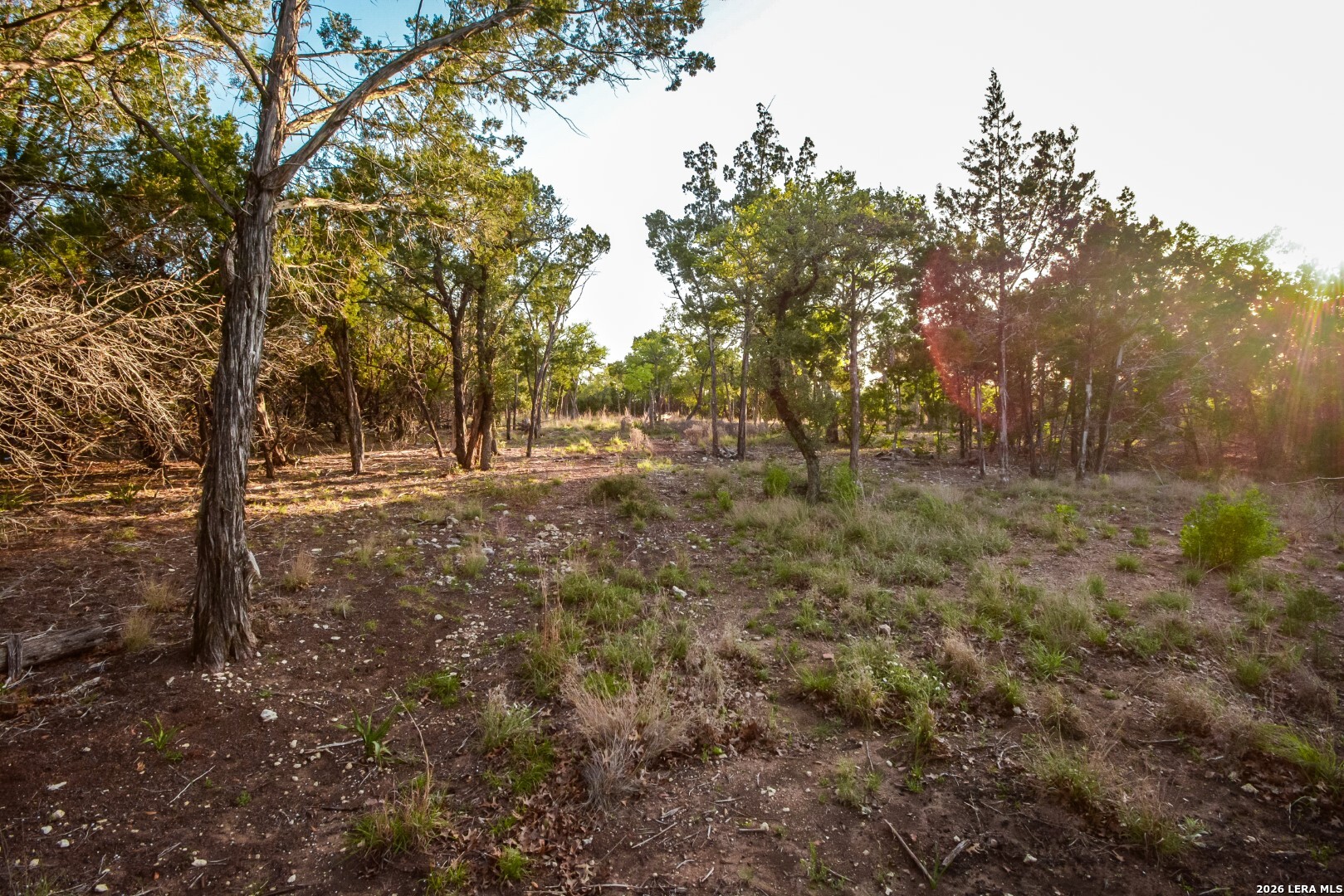 827 Thanksgiving Road Utopia, TX 78884 - Photo 4 of 10