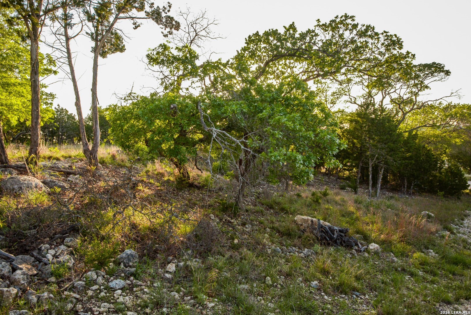 827 Thanksgiving Road Utopia, TX 78884 - Photo 5 of 10