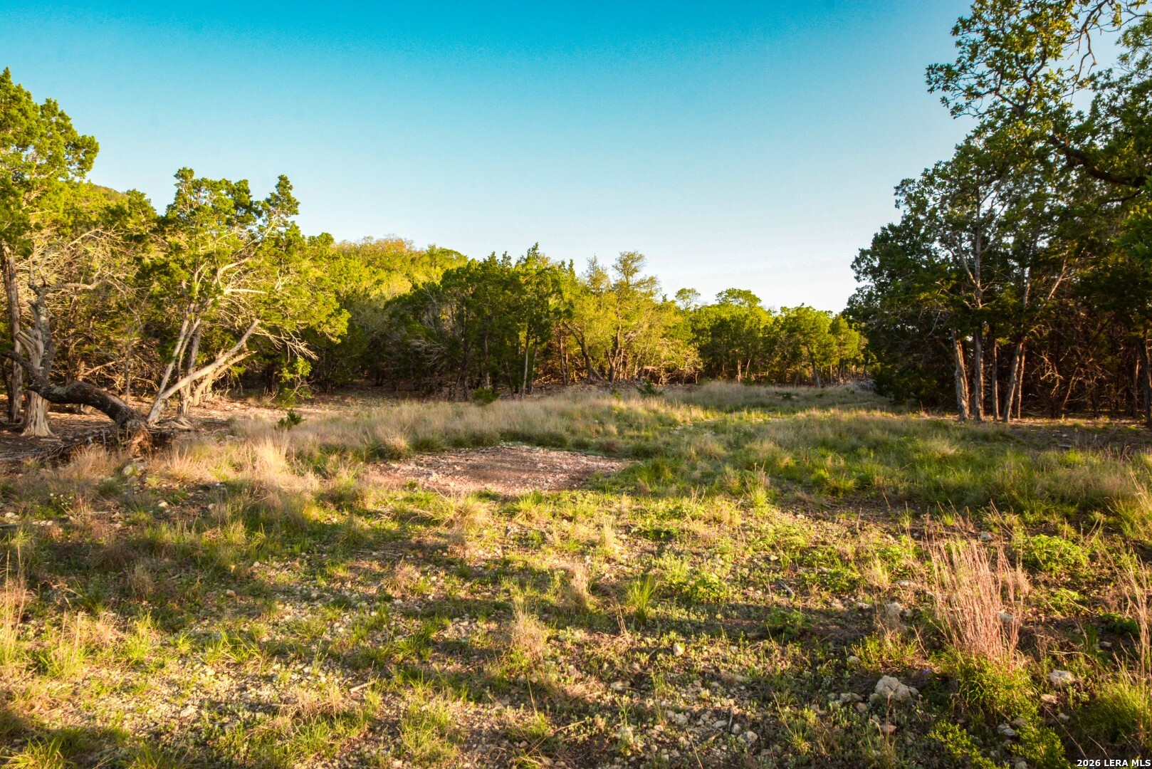 827 Thanksgiving Road Utopia, TX 78884 - Photo 6 of 10