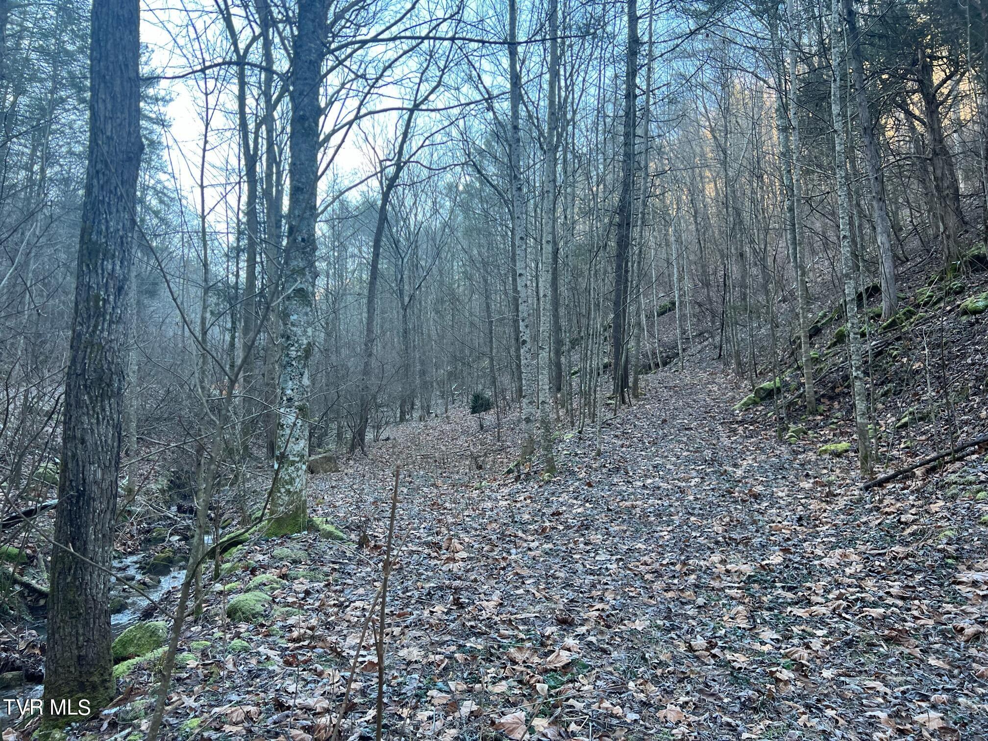 Lot 28 Norris Road, Unit 28 Butler, TN 37640 - Photo 1 of 14 Land Image 3