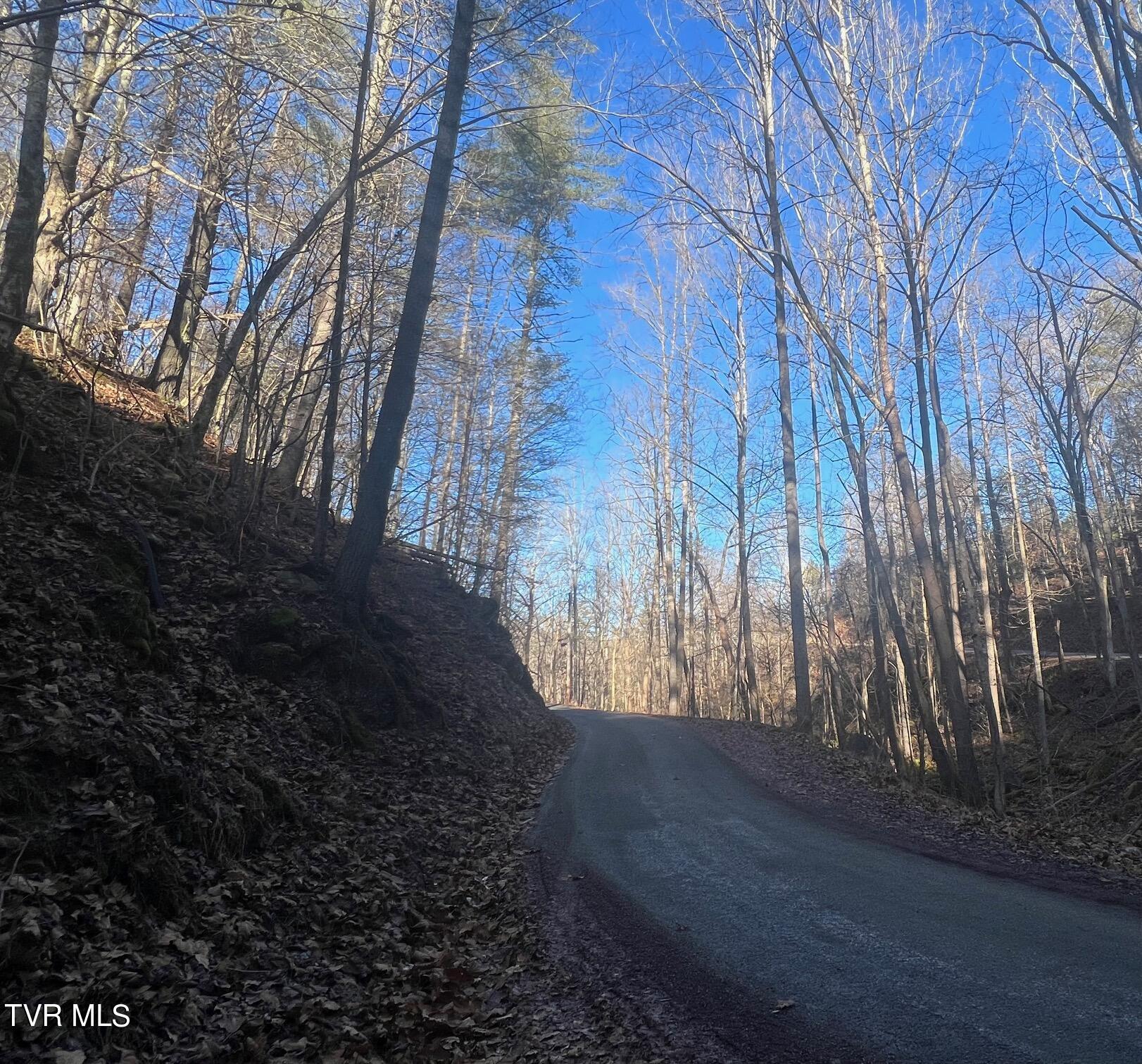 Lot 28 Norris Road, Unit 28 Butler, TN 37640 - Photo 11 of 14 Road view