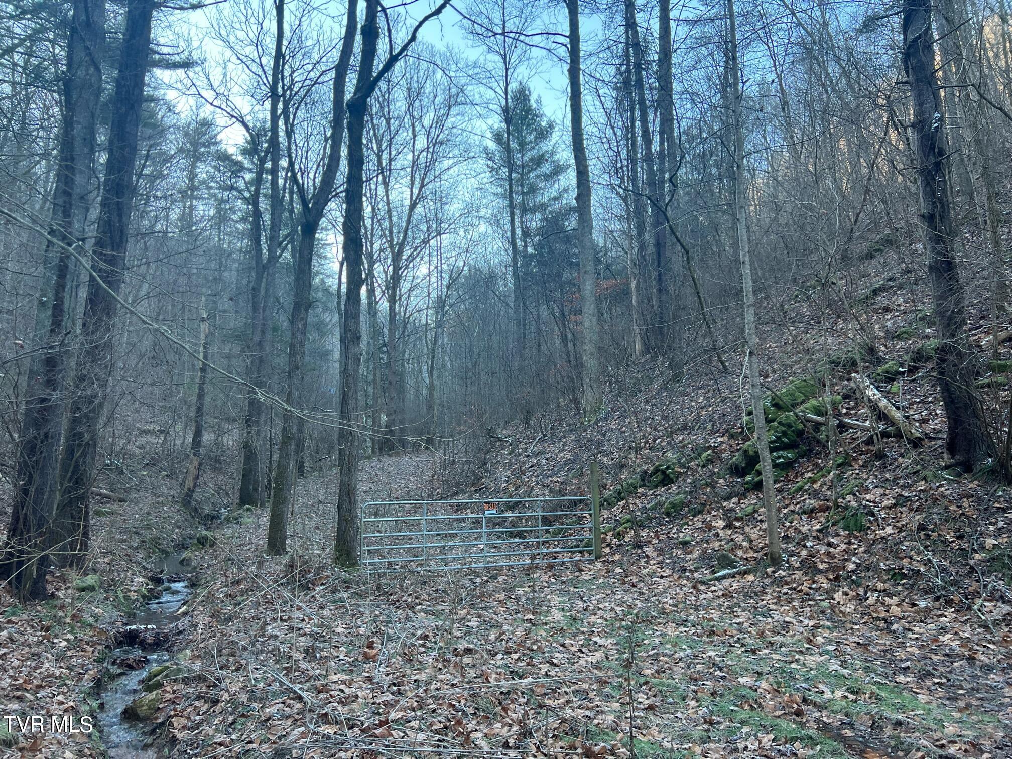 Lot 28 Norris Road, Unit 28 Butler, TN 37640 - Photo 12 of 14 Land Image 11