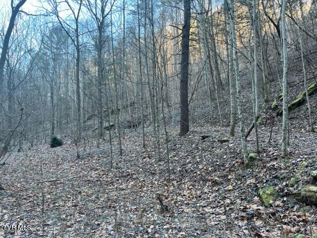 Lot 28 Norris Road, Unit 28 Butler, TN 37640 - Photo 2 of 14 Land Image 1