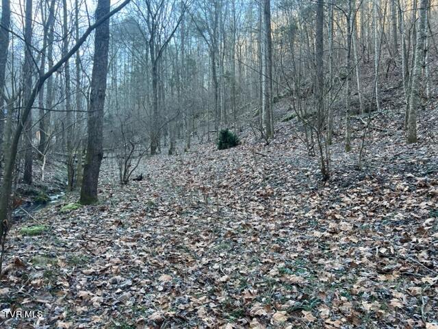 Lot 28 Norris Road, Unit 28 Butler, TN 37640 - Photo 3 of 14 Land Image 2