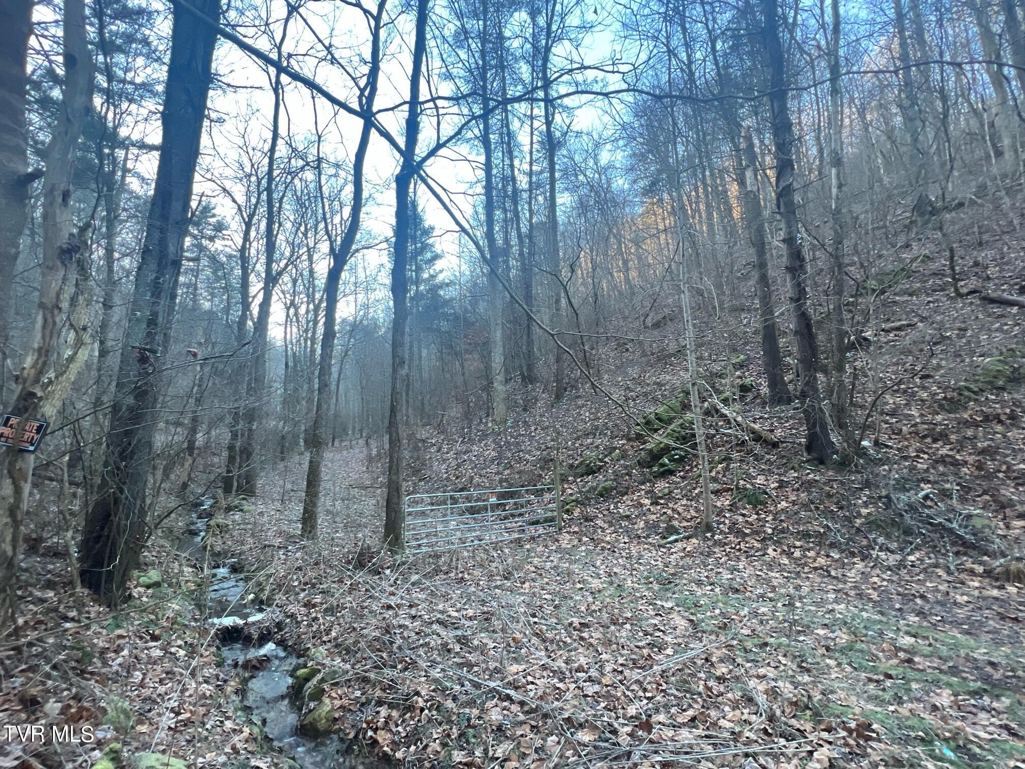 Lot 28 Norris Road, Unit 28 Butler, TN 37640 - Photo 4 of 14 Land Image 4