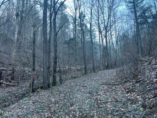 Lot 28 Norris Road, Unit 28 Butler, TN 37640 - Photo 5 of 14 Land Image 5
