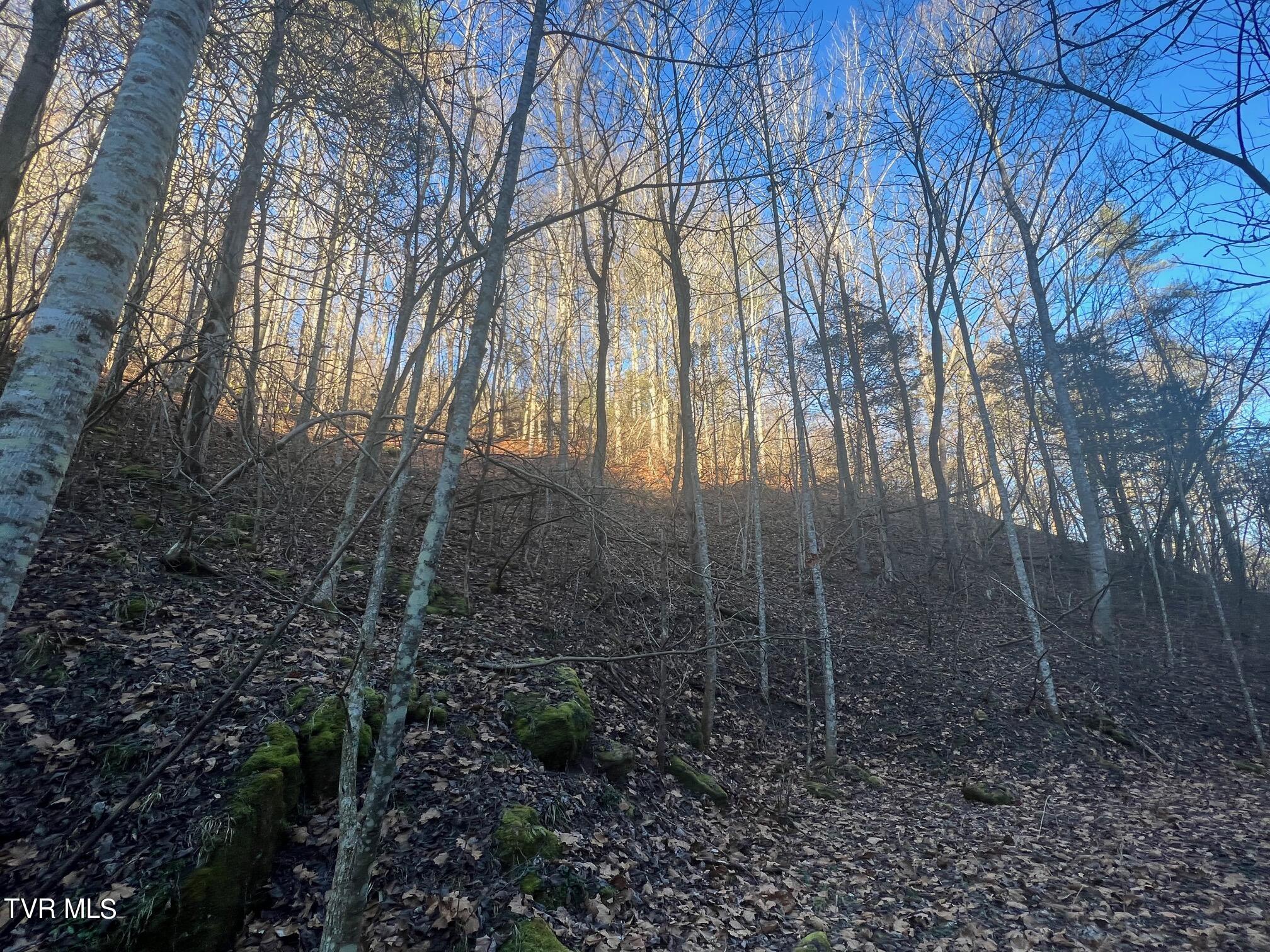 Lot 28 Norris Road, Unit 28 Butler, TN 37640 - Photo 6 of 14 Land Image 6