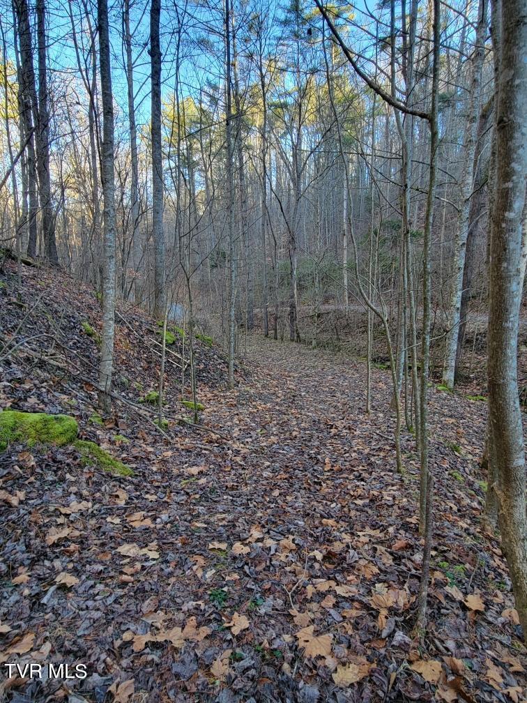 Lot 28 Norris Road, Unit 28 Butler, TN 37640 - Photo 7 of 14 Land Image 7