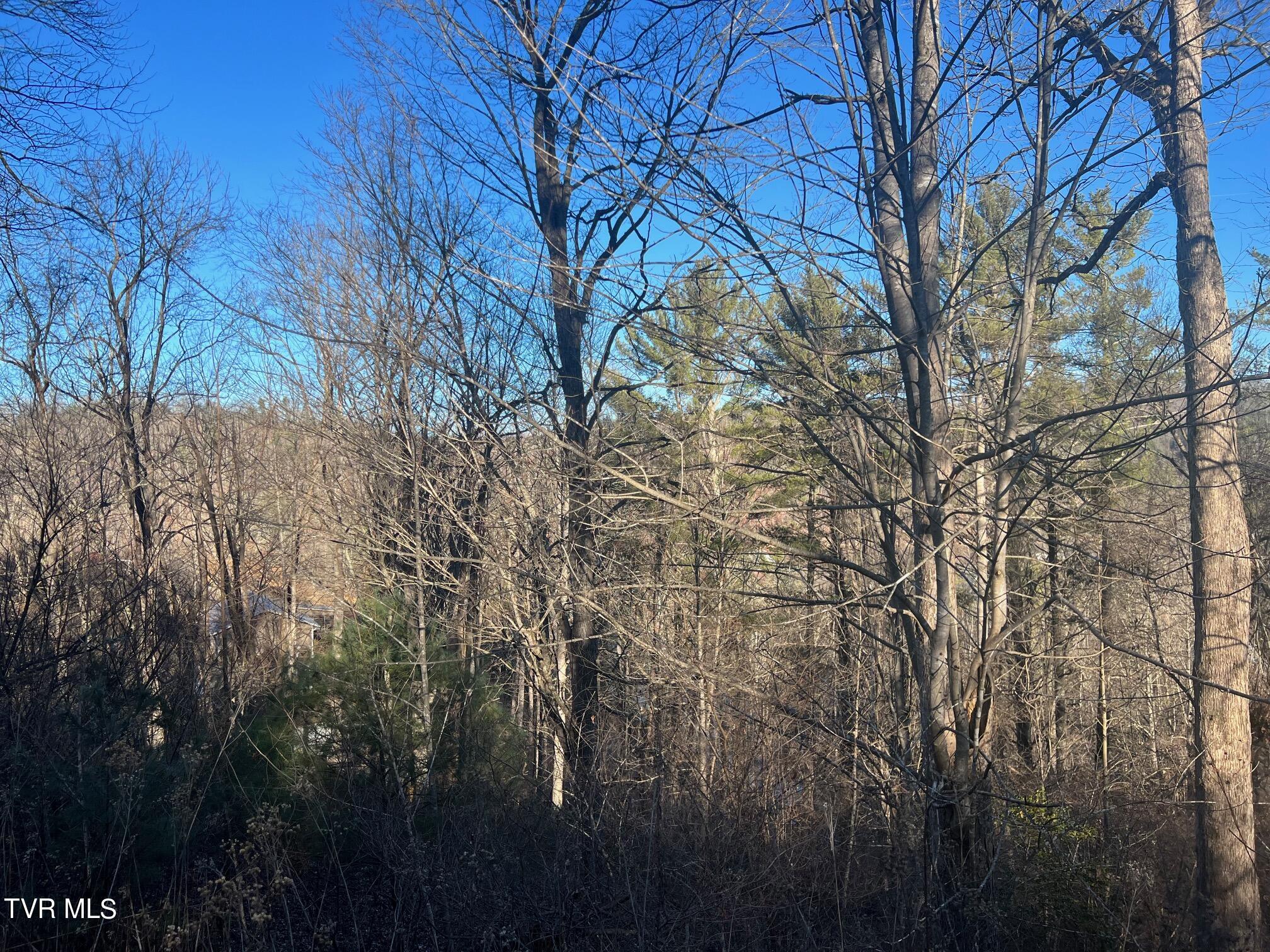Lot 28 Norris Road, Unit 28 Butler, TN 37640 - Photo 8 of 14 Land Image 8