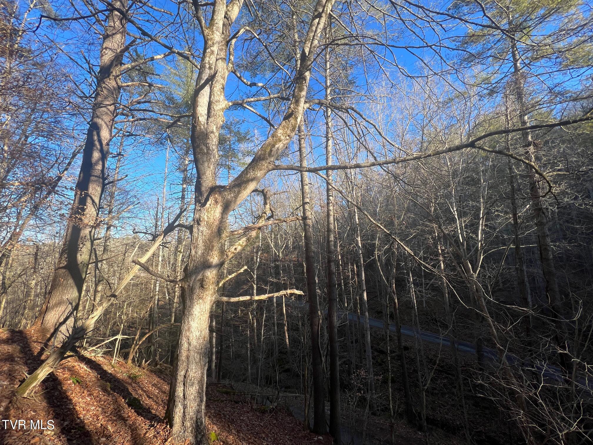Lot 28 Norris Road, Unit 28 Butler, TN 37640 - Photo 9 of 14 Land Image 9