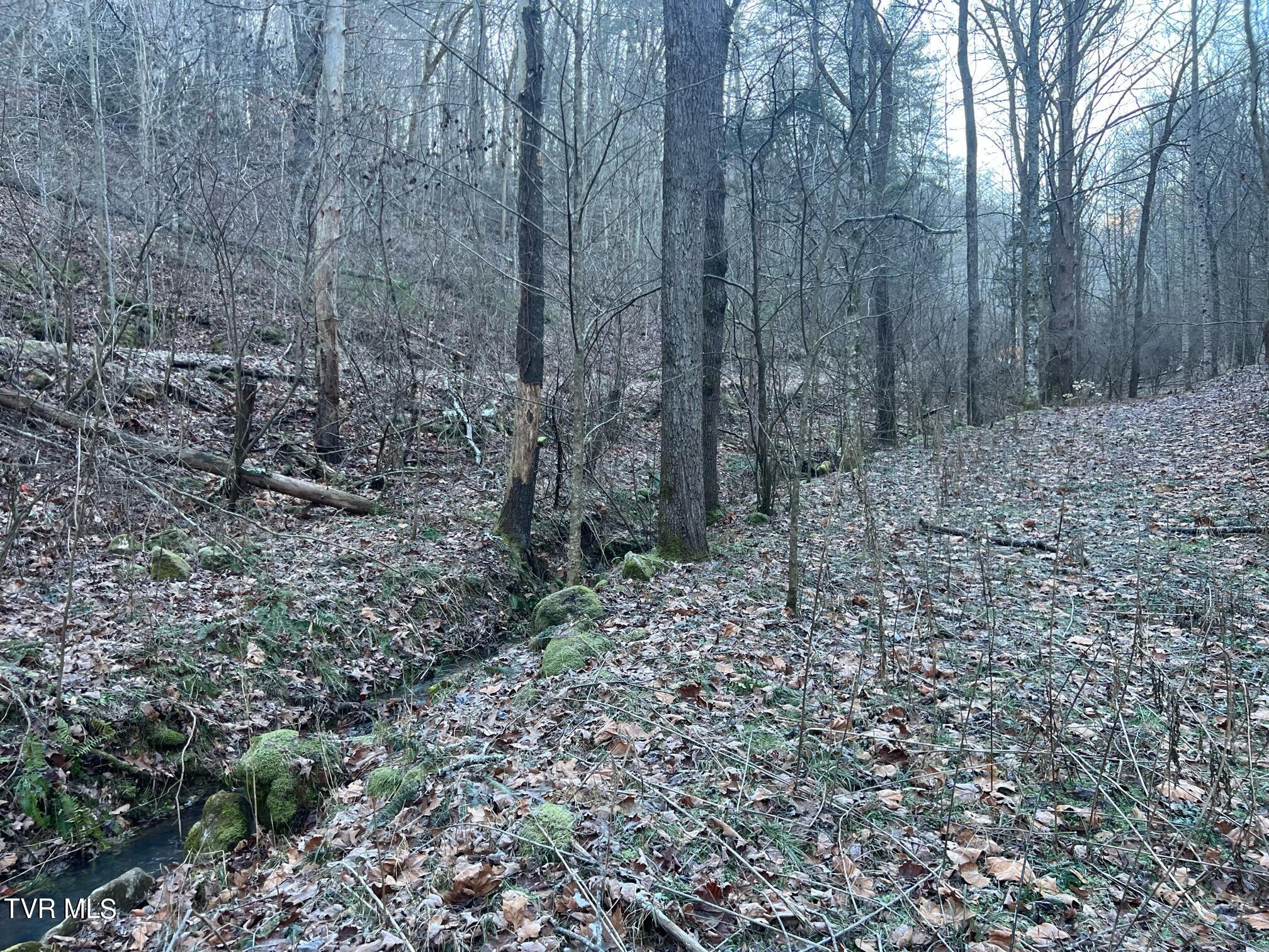 Lot 28 Norris Road, Unit 28 Butler, TN 37640 - Photo 10 of 14 Land Image 10