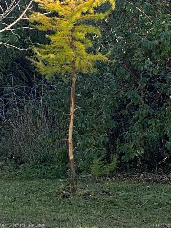Vl Vl Kleinway Road Fowlerville, MI 48836 - Photo 3 of 17