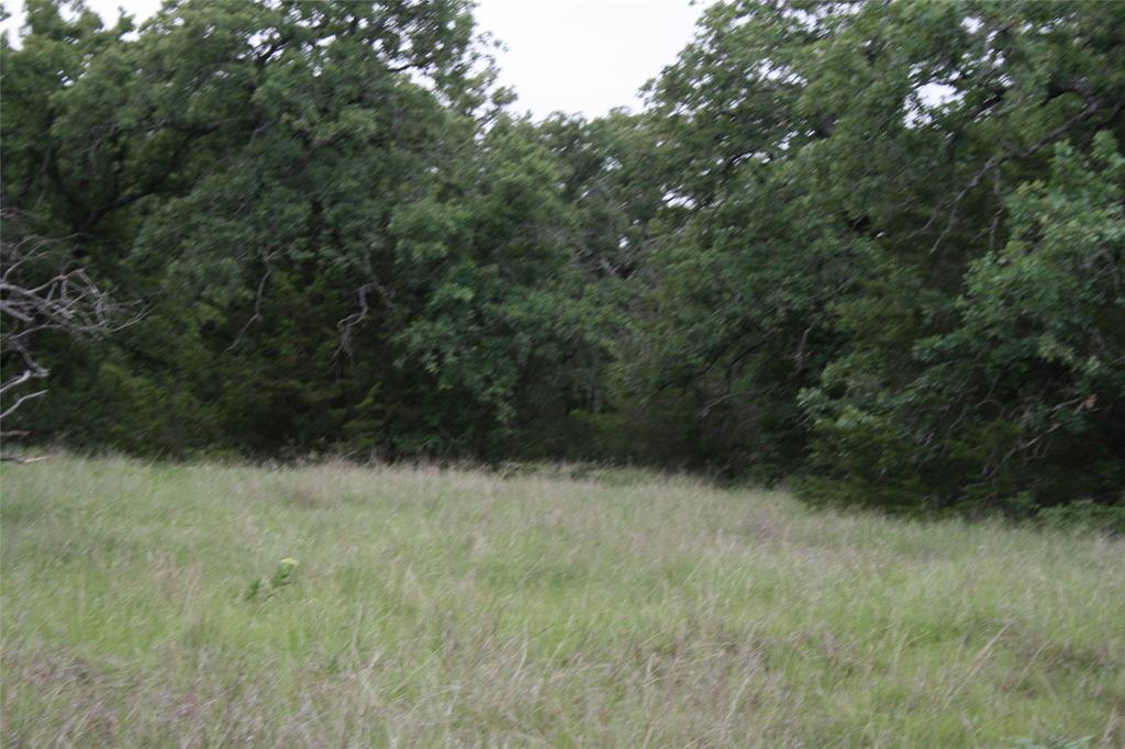 2701 Live Oak Road Santo, TX 76472 - Photo 11 of 39 Open
