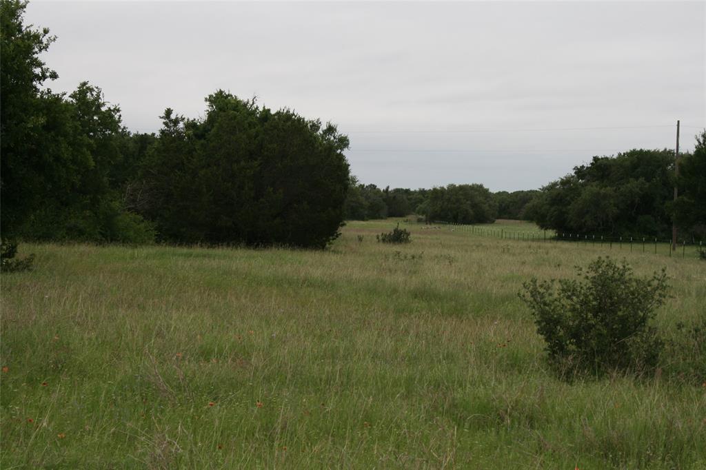 2701 Live Oak Road Santo, TX 76472 - Photo 16 of 39 Pasture in front