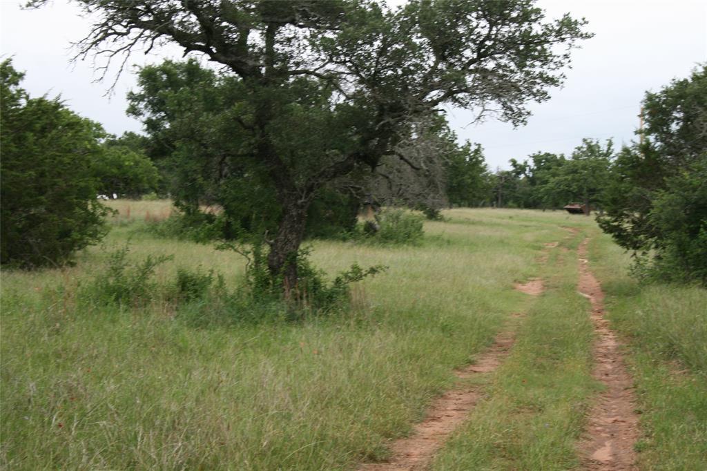 2701 Live Oak Road Santo, TX 76472 - Photo 17 of 39 Road