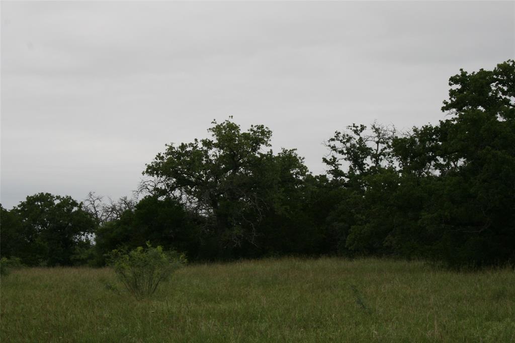 2701 Live Oak Road Santo, TX 76472 - Photo 18 of 39 View