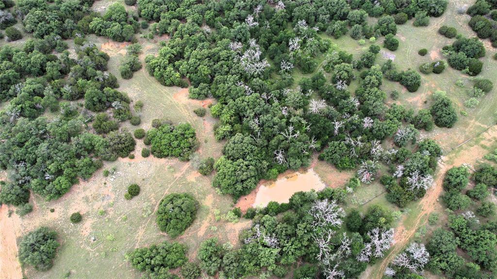 2701 Live Oak Road Santo, TX 76472 - Photo 23 of 39
